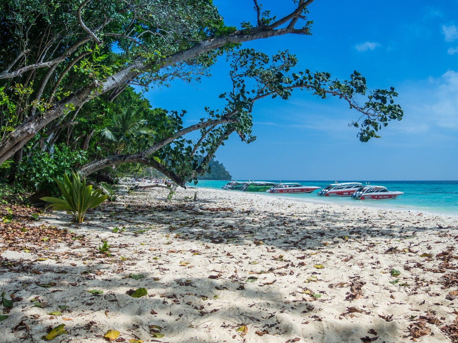 Beach on Ko Rok Yai